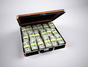 Briefcase with money