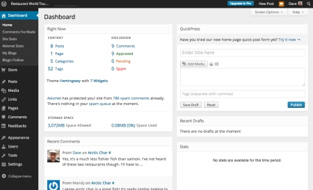 WordPress website design dashboard